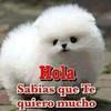 lorenzo_l